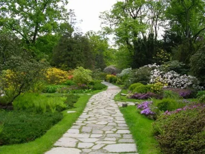 amenagement jardin (1)